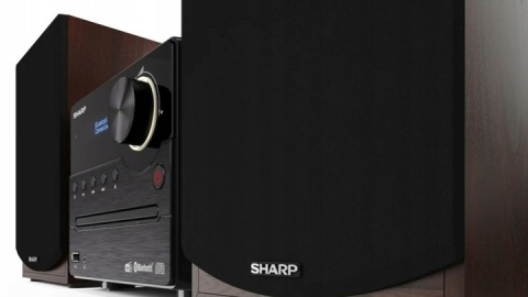 Mikrosystem Wieża Hi-Fi Sharp XL-B517D Brązowy Bluetooth CD Radio FM USB